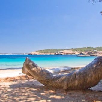 bohemia gaat op vakantie cala bassa cala bassa beach club ibiza bohemia ibiza tip bohemian