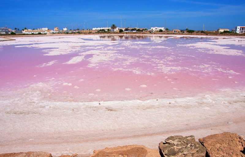 bohemia ibiza tip ses salines