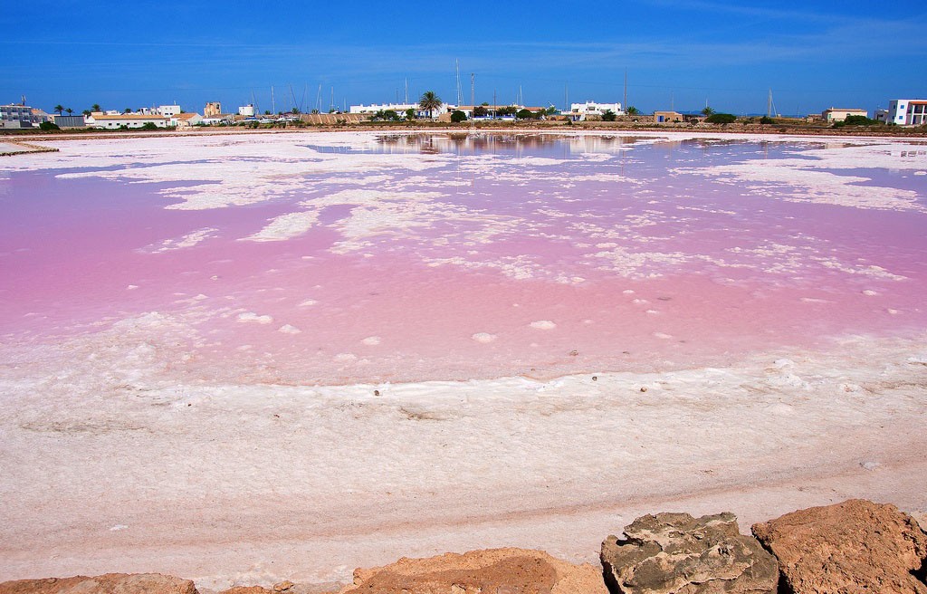bohemia ibiza tip ses salines